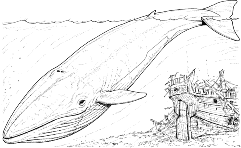 Blue Whale And Sinking Boat Coloring Page